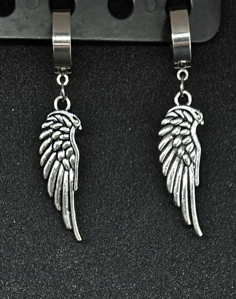 Boucles d'oreilles en acier inoxydable