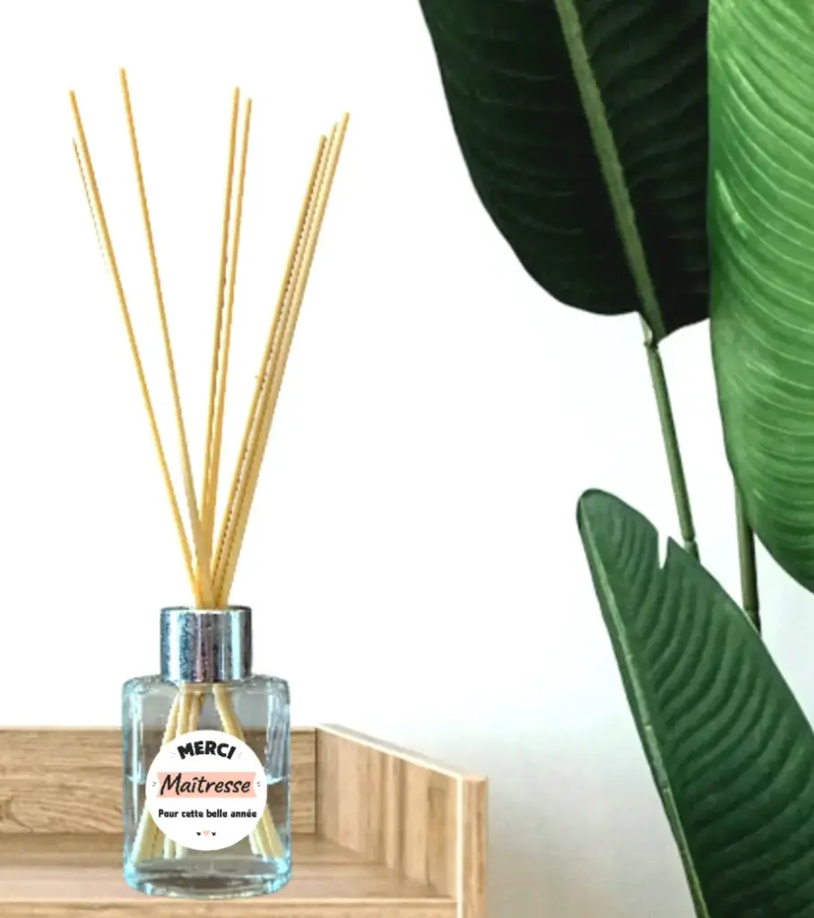 Diffuseur à bâtons – Parfum Coco "Merci maitresse"