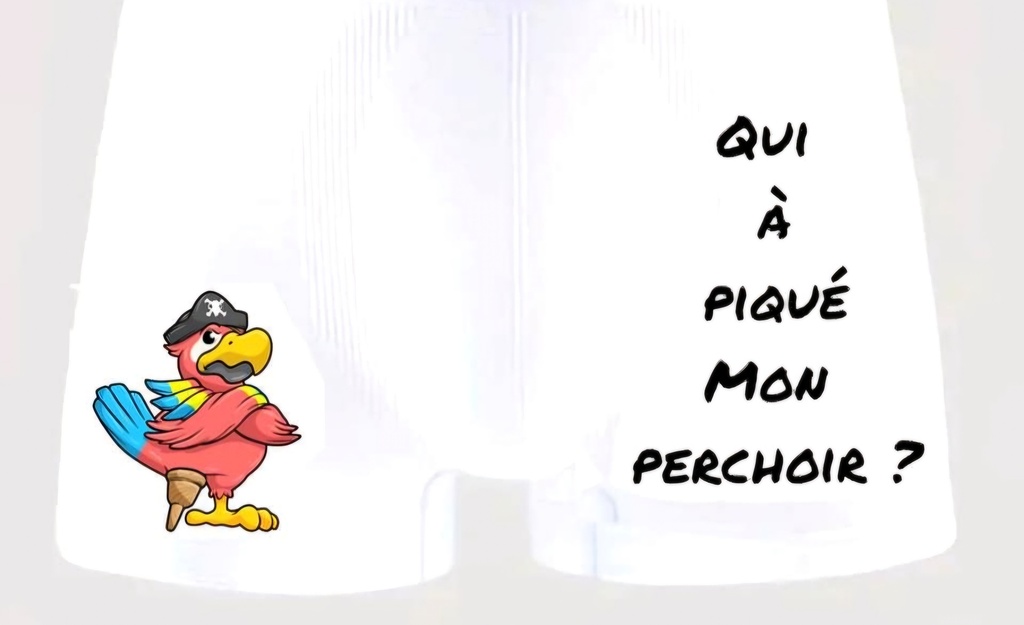 Boxer humoristique "Oiseau" (S)