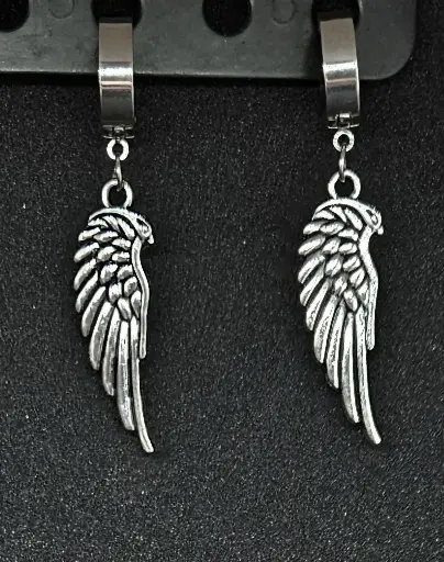 Boucles d'oreilles en acier inoxydable