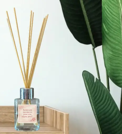 Diffuseur à bâtons – Parfum Coco "Super prof !"